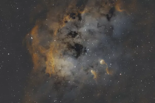 The Tadpole Nebula