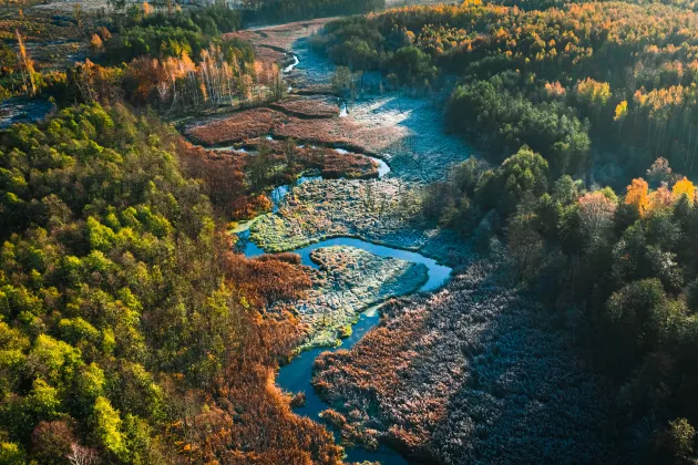 Forests and river