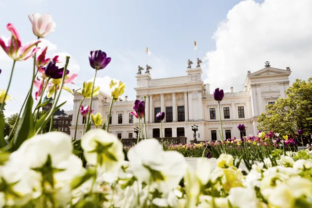 White university building with flowers in the foreground