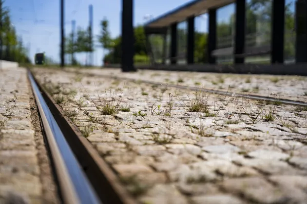 close up photo of rails on the ground