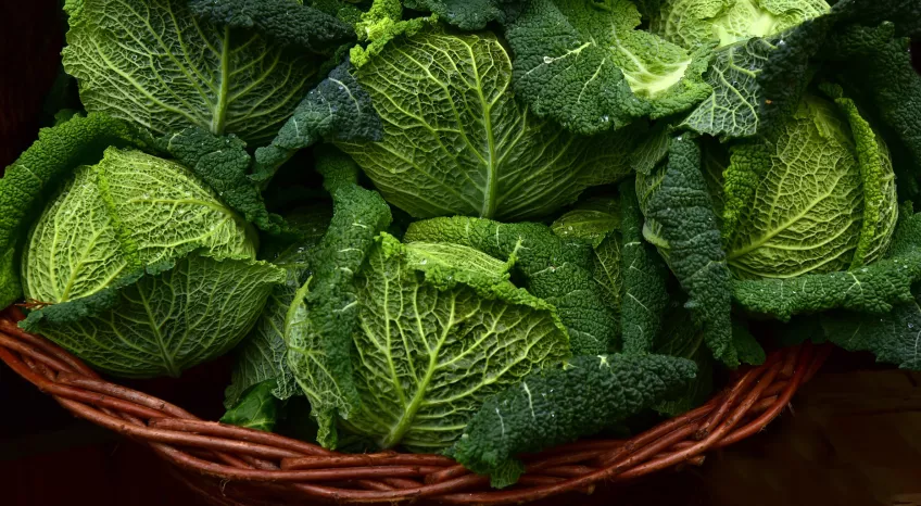 A close-up of savoy cabbages in a basket