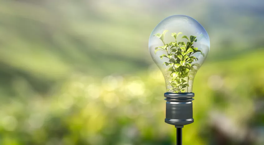 A close-up of a light bulb against a backdrop of green hills depicted with bokeh effect. Inside the light bulb grows a green plant.t bulb 
