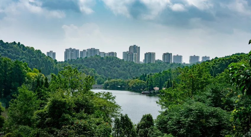 A lake, surrounded by lush forest growth, with skyscrapers rising up in the background.