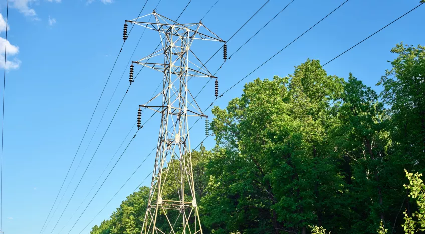 A photo of a power line winding along green summer trees.