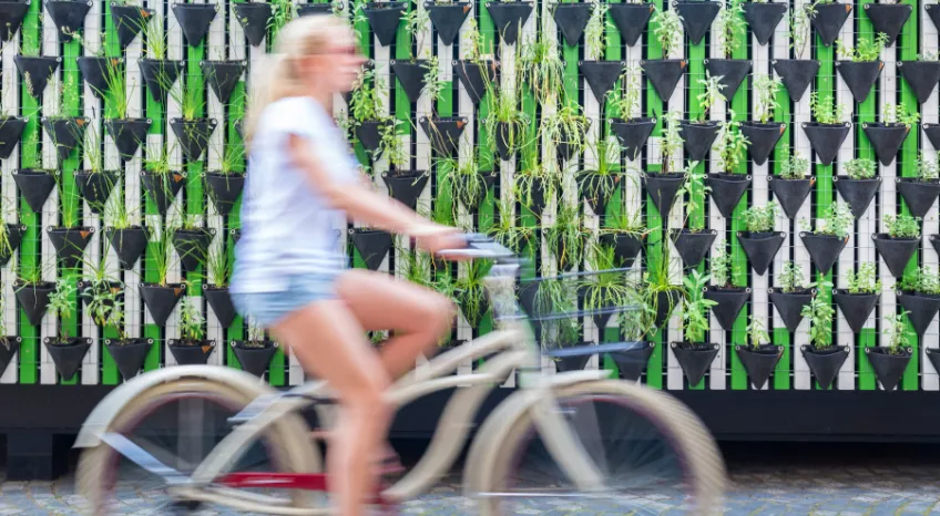 A women cycles past a "green wall", alive with plants and herbs.
