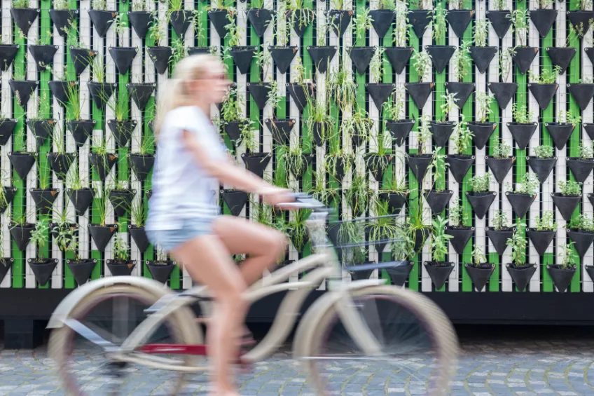 Biker against a green wall